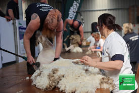 sheepvention-17.jpg
