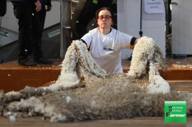 Woorndoo’s Lisa Wardlaw competes in the wool handling competition.