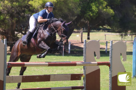 showjumping-11.jpg