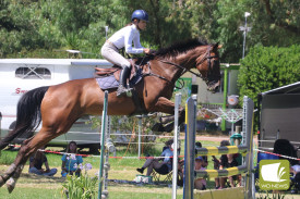 showjumping-15.jpg