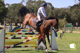 showjumping-16.jpg