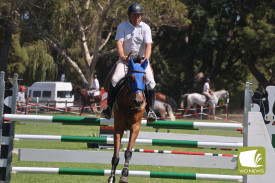 showjumping-18.jpg