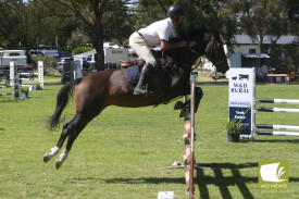 showjumping-3.jpg