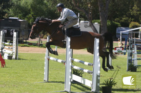 showjumping-4.jpg