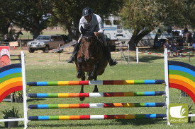 showjumping-6.jpg