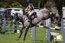 showjumping-8.jpg