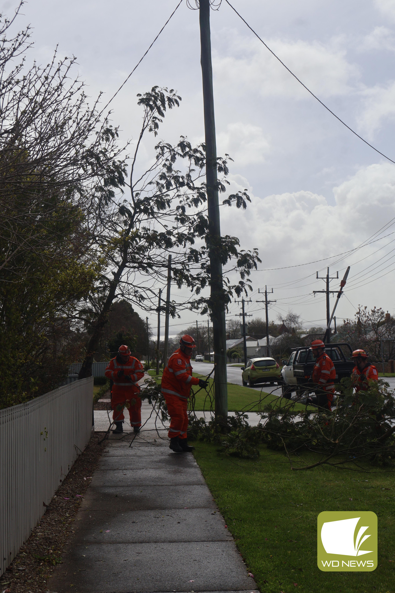 Busy days: Camperdown’s SES unit has been busy up until Monday, clearing fallen trees over roads and on fences.