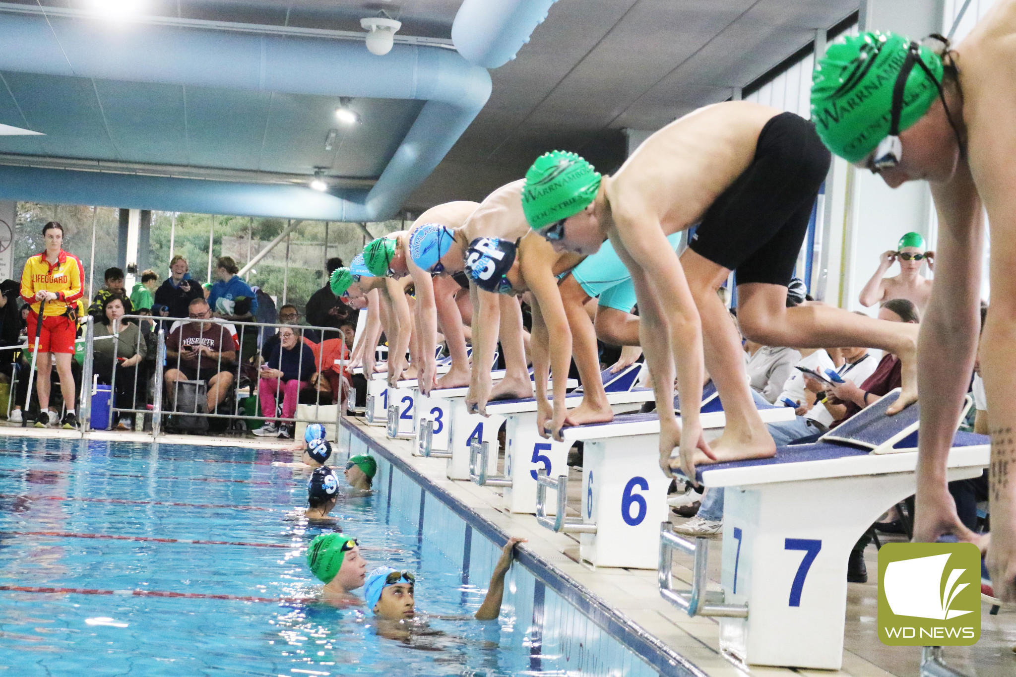 swim-carnival-3.jpg