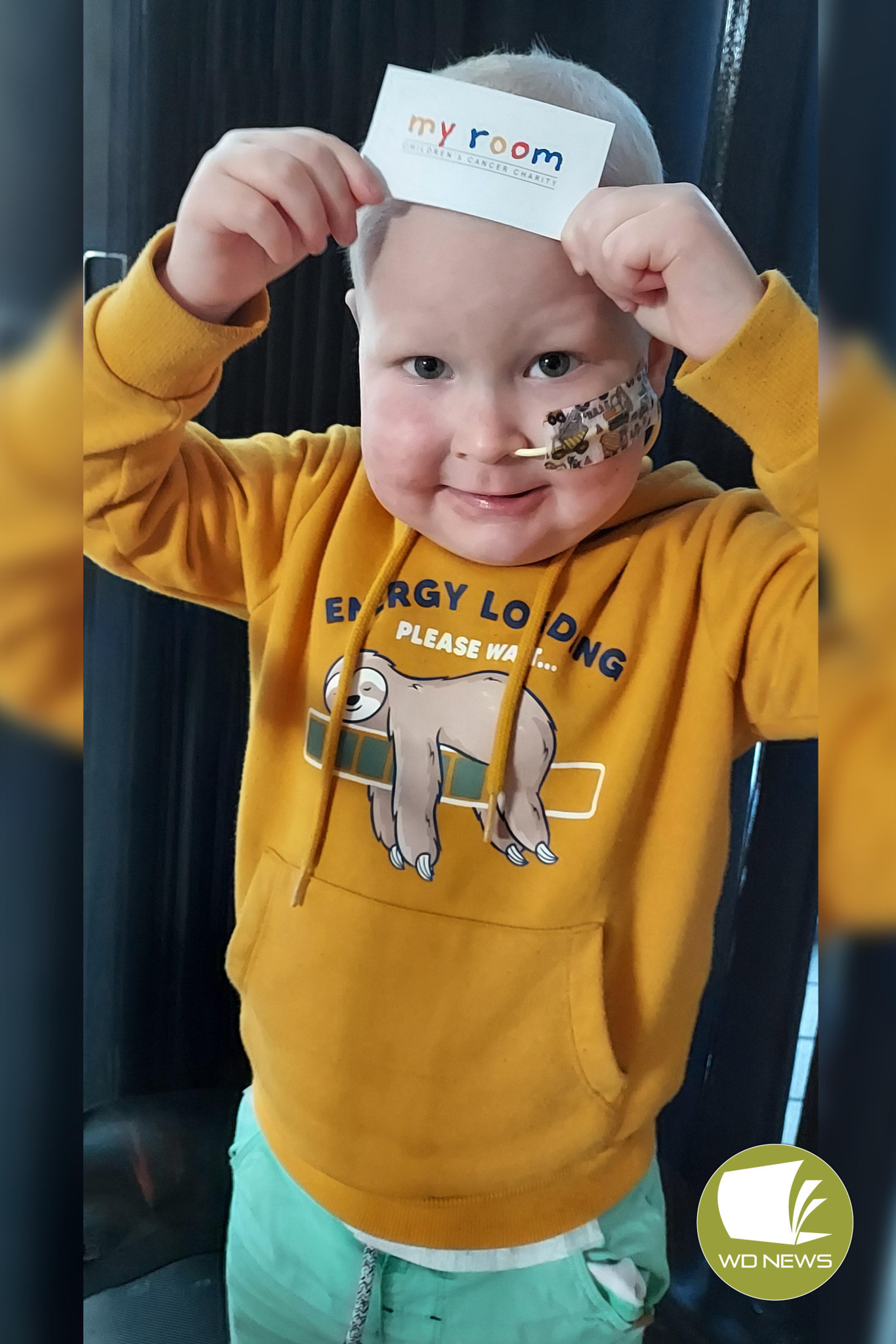 Strong: Hugo Riedl has received support from the children’s cancer charity My Room during his ongoing battle with cancer.