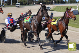 Midnight Dancer and Hanover Jack.