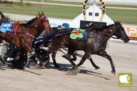 Midnight Dancer (trained Tindale, driven Lee) edges out Famous Label in the Vale Paul Teal Pace.