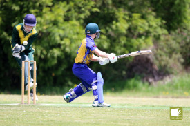 wdn_0944.jpg
