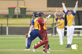 womens-cricket-nestles-v-cobden-11.jpg