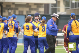 womens-cricket-nestles-v-cobden-2.jpg