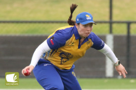 womens-cricket-nestles-v-cobden-4.jpg