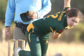 womens-grand-final-cricket-23.jpg