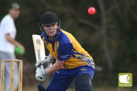 womens-grand-final-cricket-28.jpg