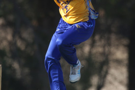 womens-grand-final-cricket-7.jpg
