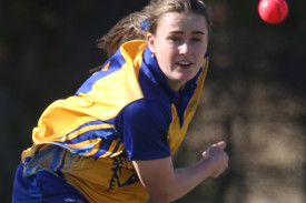 womens-grand-final-cricket-8.jpg