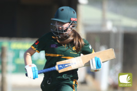 womens-grand-final-cricket-9.jpg