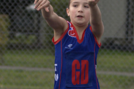 young-netballers—-terang-mortlake-v-portland-5.jpg