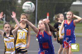 young-netballers—-terang-mortlake-v-portland-6.jpg